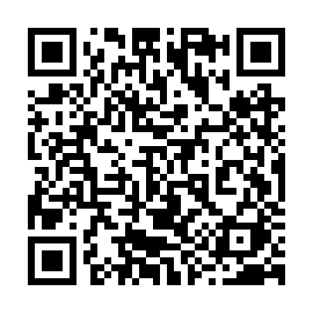 QR code for 295BZI