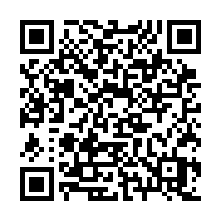 QR code for 295CFT