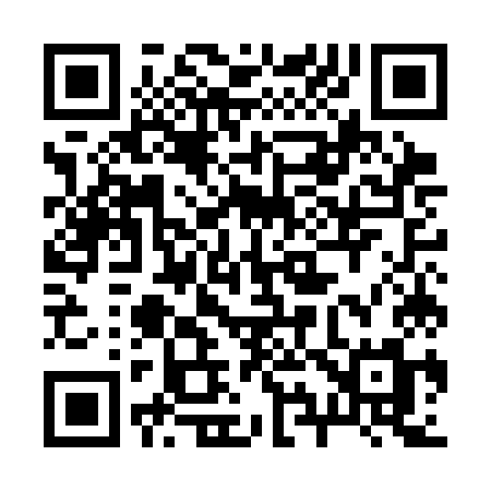 QR code for 295CKM