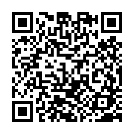 QR code for 295DTK
