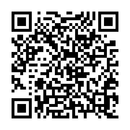QR code for 295FUJ