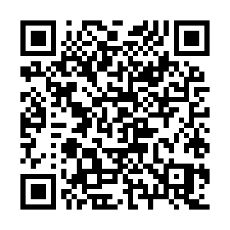 QR code for 295IXQ
