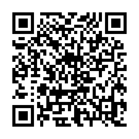 QR code for 295IZO