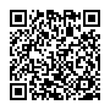 QR code for 295LSO