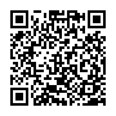 QR code for 295LTP