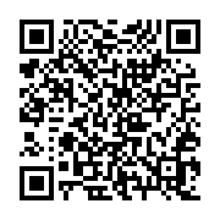 QR code for 295LUJ