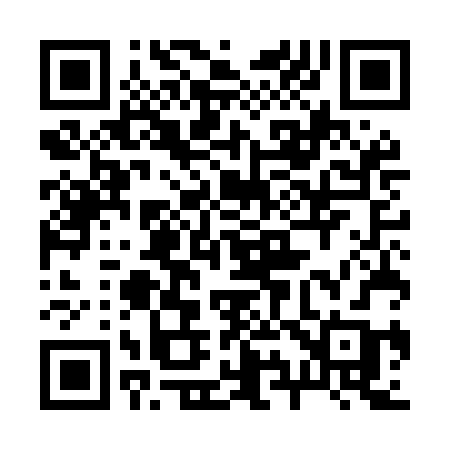QR code for 295MBB