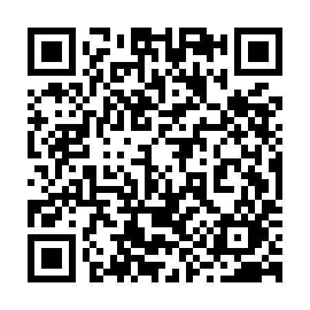 QR code for 295MIO