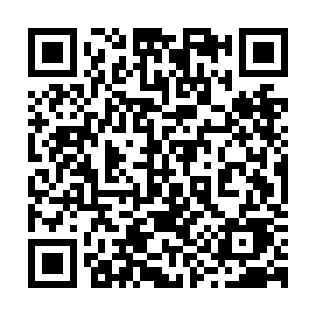 QR code for 295NKE