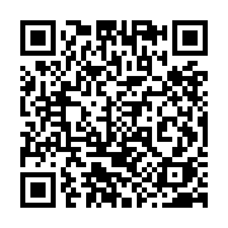 QR code for 295OCH
