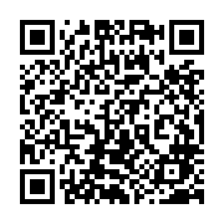 QR code for 295OLN
