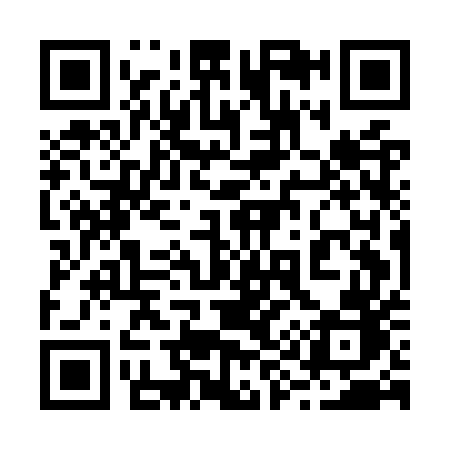QR code for 295OUB