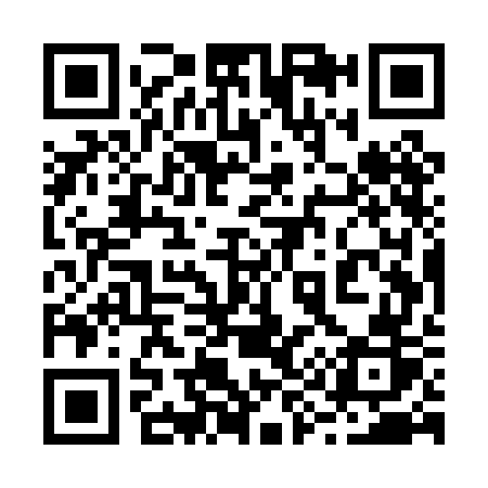 QR code for 295PGR