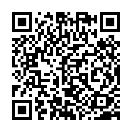 QR code for 295PQY