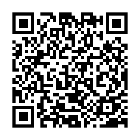 QR code for 295QQU