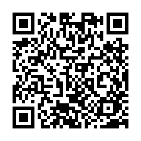 QR code for 295SHO