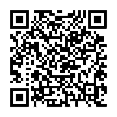 QR code for 295SLK