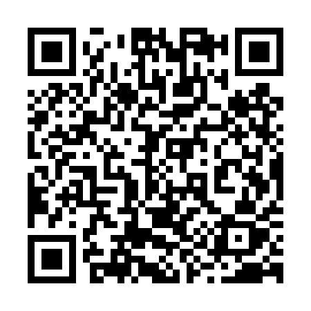QR code for 295TQZ