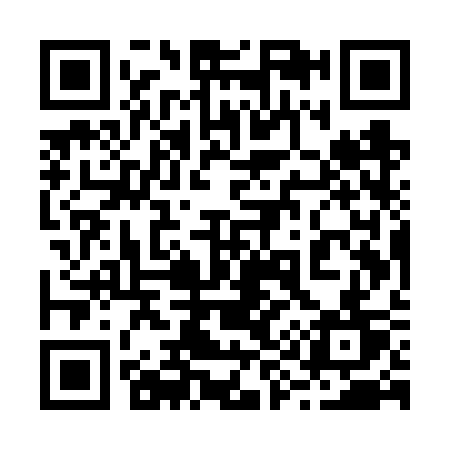 QR code for 295VST