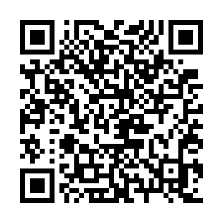 QR code for 295WDK