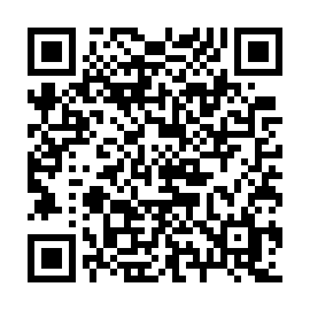 QR code for 295WSL