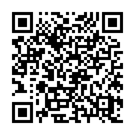 QR code for 295XZX