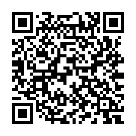 QR code for 295YZA