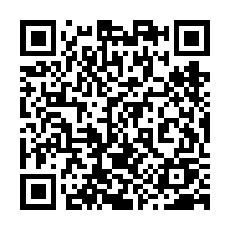 QR code for plate 299 FGU