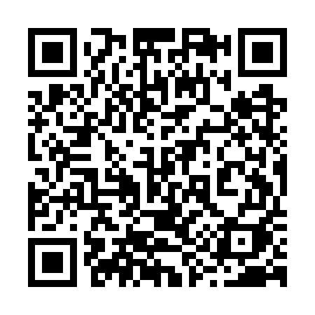 QR code for 299GUI