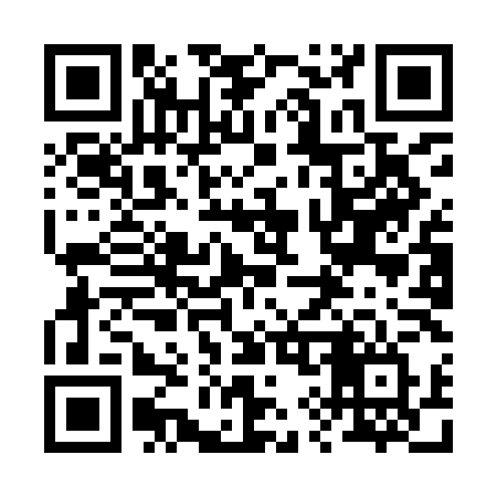 QR code for 299ILV