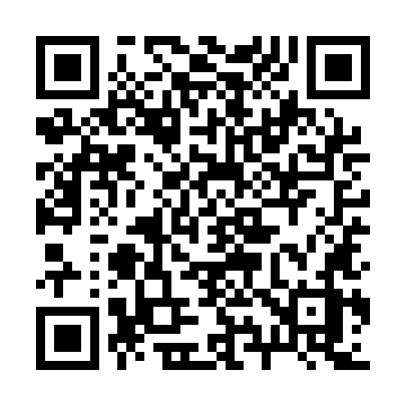 QR code for 299QLZ