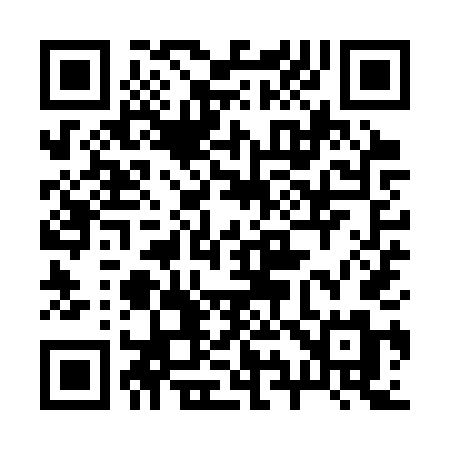 QR code for 299STM
