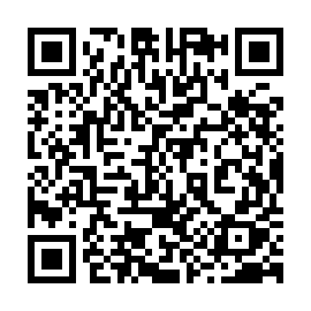 QR code for 299YEX
