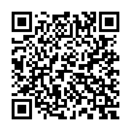 QR code for 300OLE