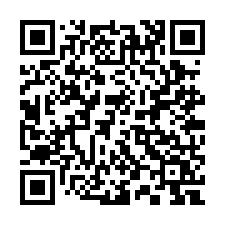 QR code for 303PMV
