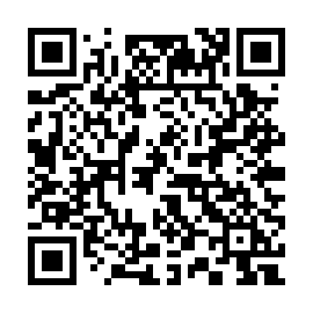 QR code for 305PPI