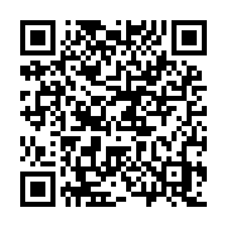 QR code for 306IBZ