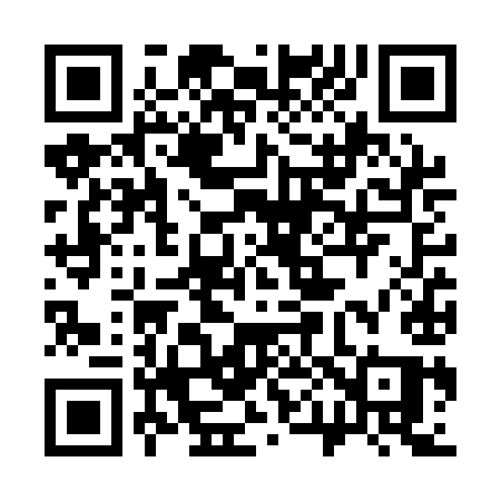 QR code for 306QIQ