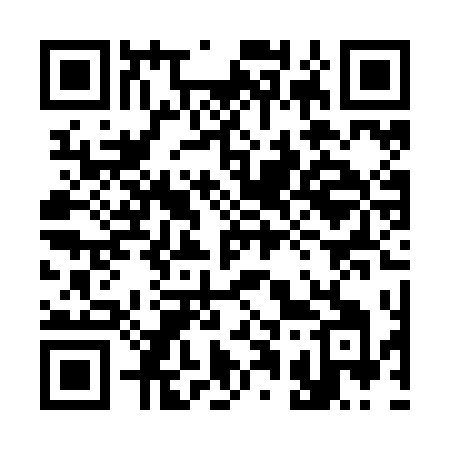 QR code for 310ZDI