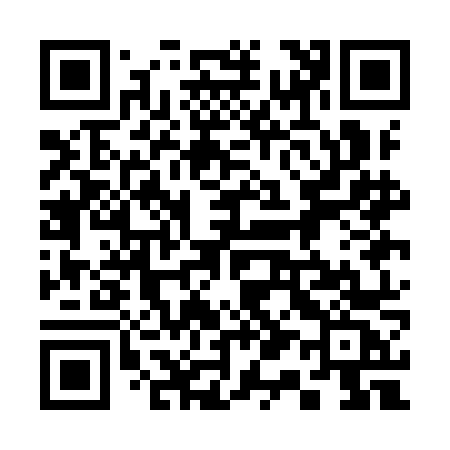 QR code for 311INC