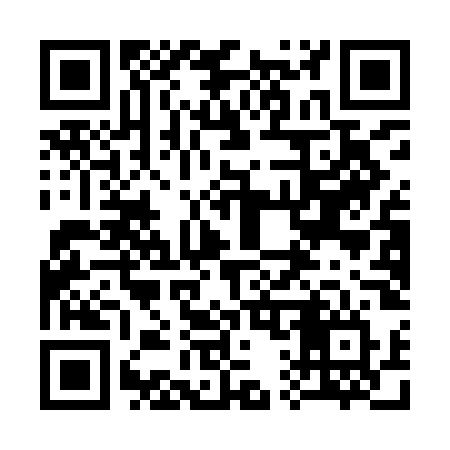 QR code for 311IOV