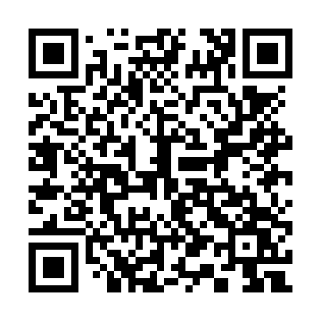 QR code for 311NTW