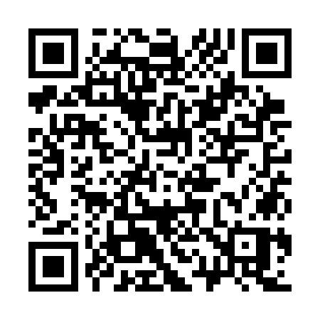 QR code for 311SOP