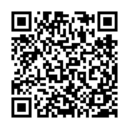QR code for 311VET