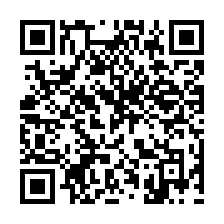 QR code for 311WTO