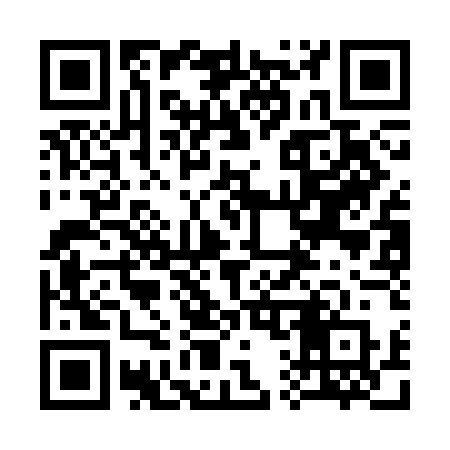 QR code for 313CER