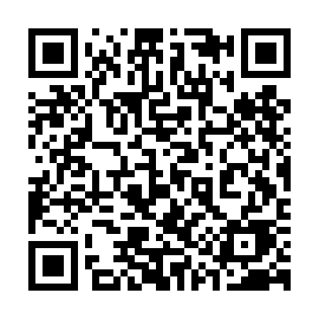 QR code for 313DCE