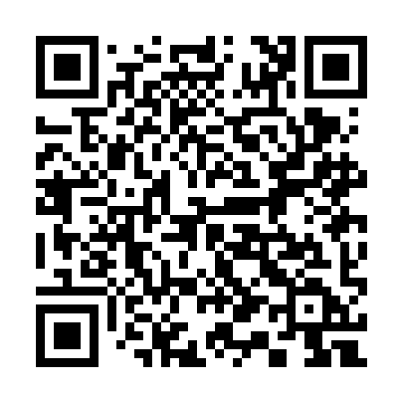 QR code for 313FID