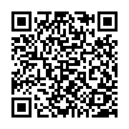 QR code for 313LPZ