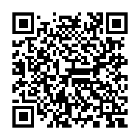 QR code for 313MFI